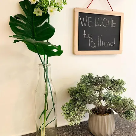 5 Minute Walk To Lego House - 50m2 With Garden / A Unit *